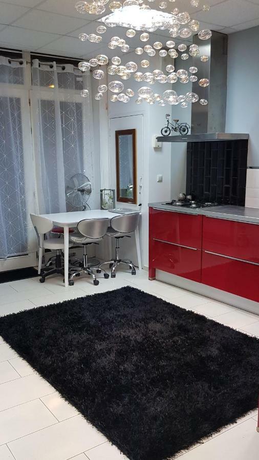 Charming Design Apartment In The Heart Of 레이든 외부 사진